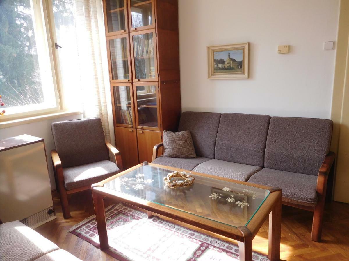 Hradiska Apartment Jablonne nad Orlici ภายนอก รูปภาพ