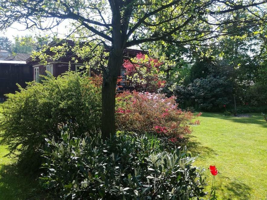 Hradiska Apartment Jablonne nad Orlici ภายนอก รูปภาพ