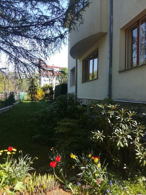 Hradiska Apartment Jablonne nad Orlici ภายนอก รูปภาพ