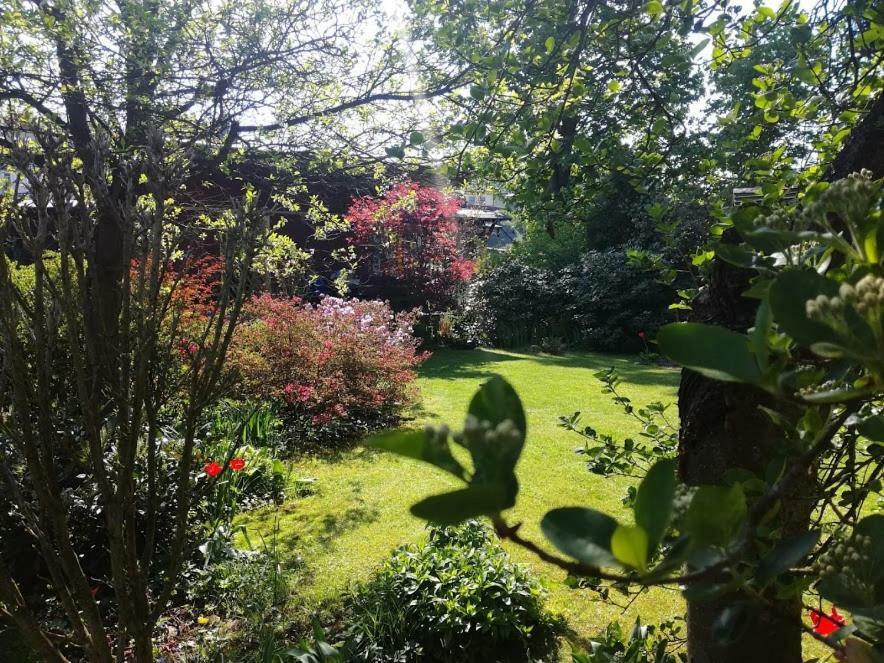 Hradiska Apartment Jablonne nad Orlici ภายนอก รูปภาพ